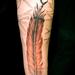 Tattoos - Hawk Feather and Birds - 56409